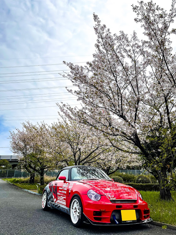 コペンの桜と愛車・桜とコラボ・ドライブに関するカスタム事例の投稿画像2枚目