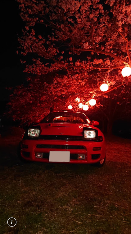 セリカのリトラの日・コロナウイルスに負けるな・桜と愛車・桜に関するカスタム事例の投稿画像1枚目