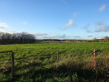 terrain à Azay-le-Ferron (36)