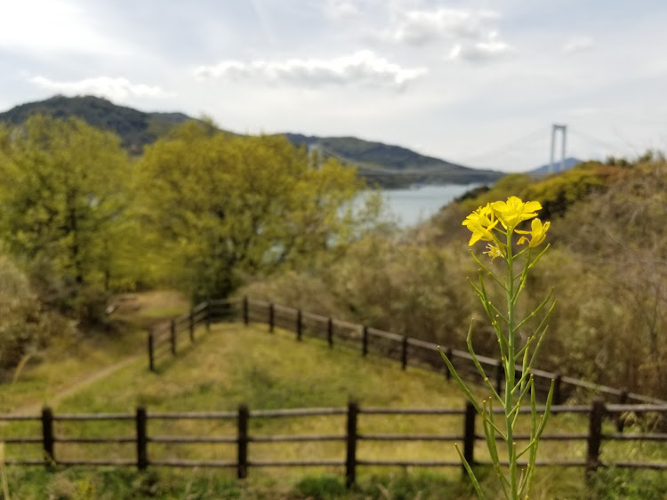Mituhiroさんが投稿したプリウス・しまなみ海道に関するカスタム事例の投稿画像2枚目