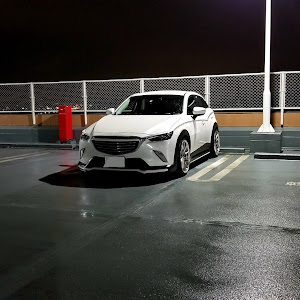 CX-3 DKEFW