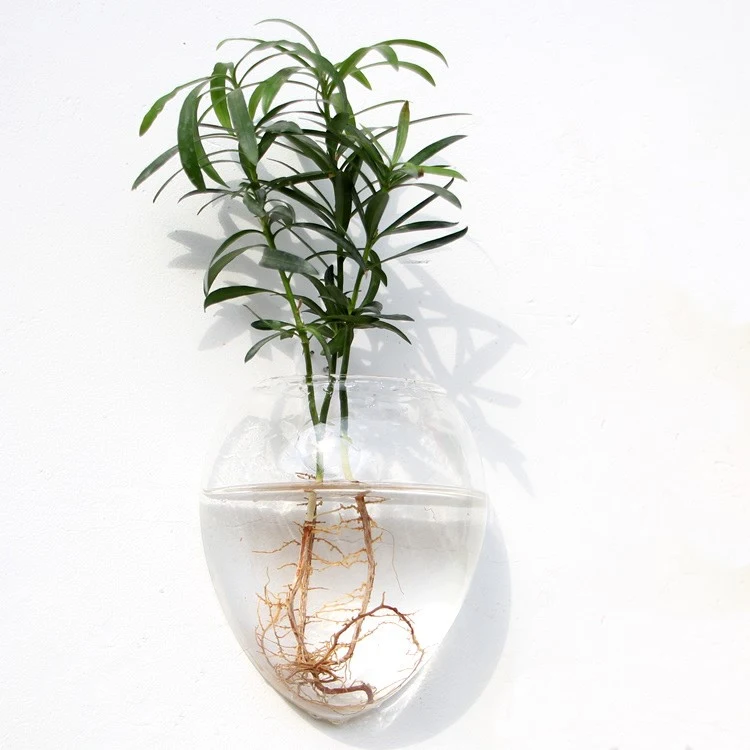 Title 10, Glazen bloemenvaas voor aan de muur Terrarium A...