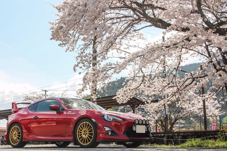 86のサクラと愛車・桜とコラボ・大井川鐵道・ご当地ちいかわ・川根本町に関するカスタム事例の投稿画像4枚目