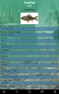 TrueFish TrueFish