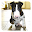 Bull Terrier Live Wallpaper Download on Windows