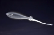 SpaceX's Falcon 9 rocket lifts off in the air, as seen from Santa Monica, California, US, in this December 22, 2017 picture obtained from social media.