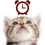 Cats Analog-Clocks Widget Apk