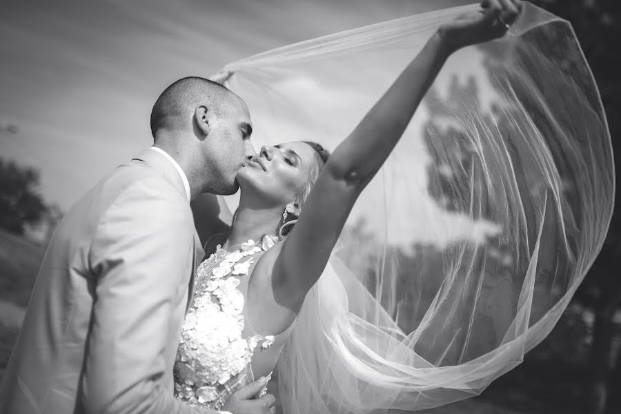 Wedding photographer Aleksandar Krstovic (krstalex). Photo of 13 February 2019