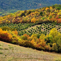 Colline colorate  di Federicopzz