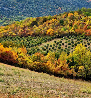 Colline colorate  di Federicopzz