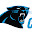 Carolina Panthers New Tabs HD Football Themes