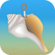 Download The Conch Shell For PC Windows and Mac 1.0