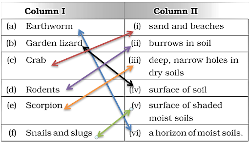 Solution Image