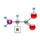 Download Amino acids quiz For PC Windows and Mac 0.1