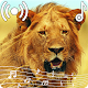 Lion Sounds Ringtone Download on Windows