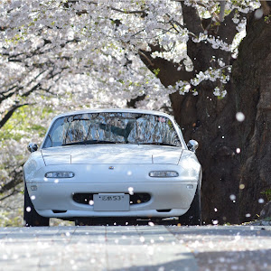 ロードスター NA8C