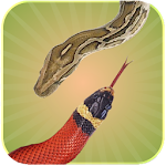 Cover Image of Baixar Snake Touch 2.3.1 APK