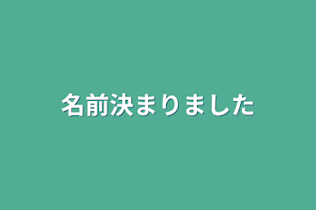 名前決まりました