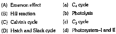 Photosynthetic Apparatus