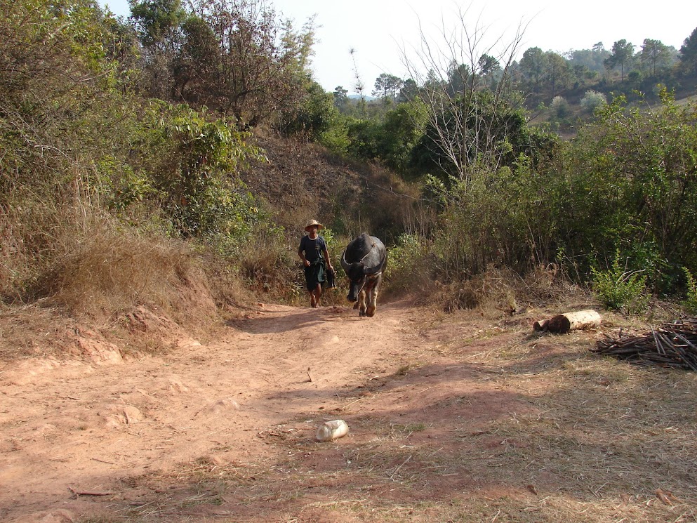 1e journée de trek