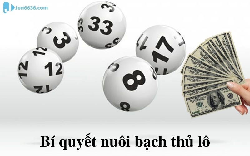 Bí quyết Nuôi bạch thủ lô