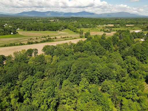 Terrain 4