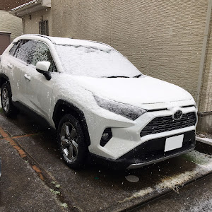 RAV4 MXAA54