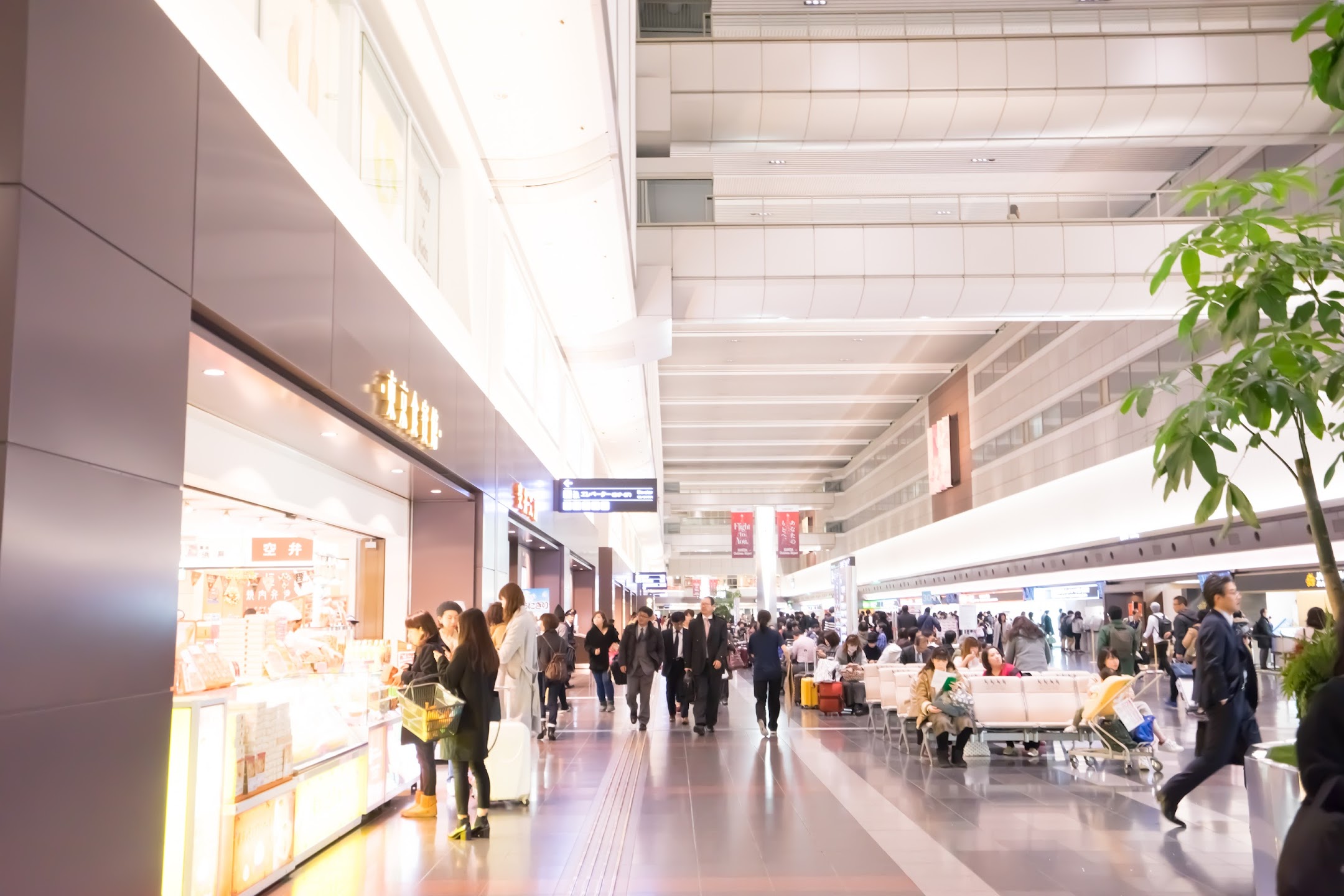 羽田空港2