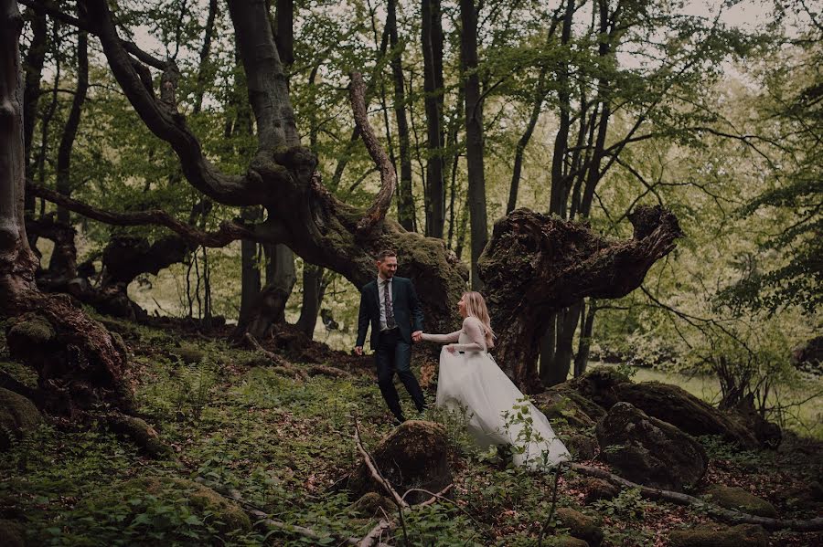 Fotógrafo de casamento Tomas Paule (tommyfoto). Foto de 4 de junho 2019