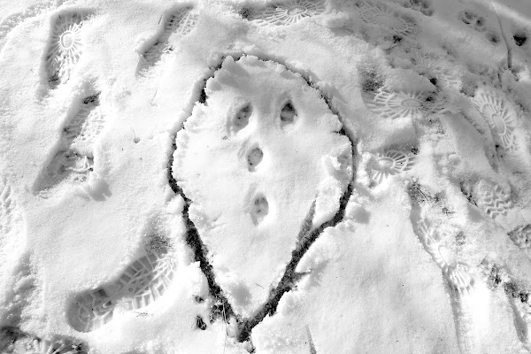 la neve è una pagina bianca di Zeta & Zeta