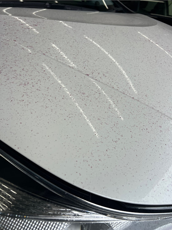 voooさんが投稿した洗車・鉄粉除去・梅雨入り間近？・コーティング・プリウスに関するカスタム事例の投稿画像3枚目