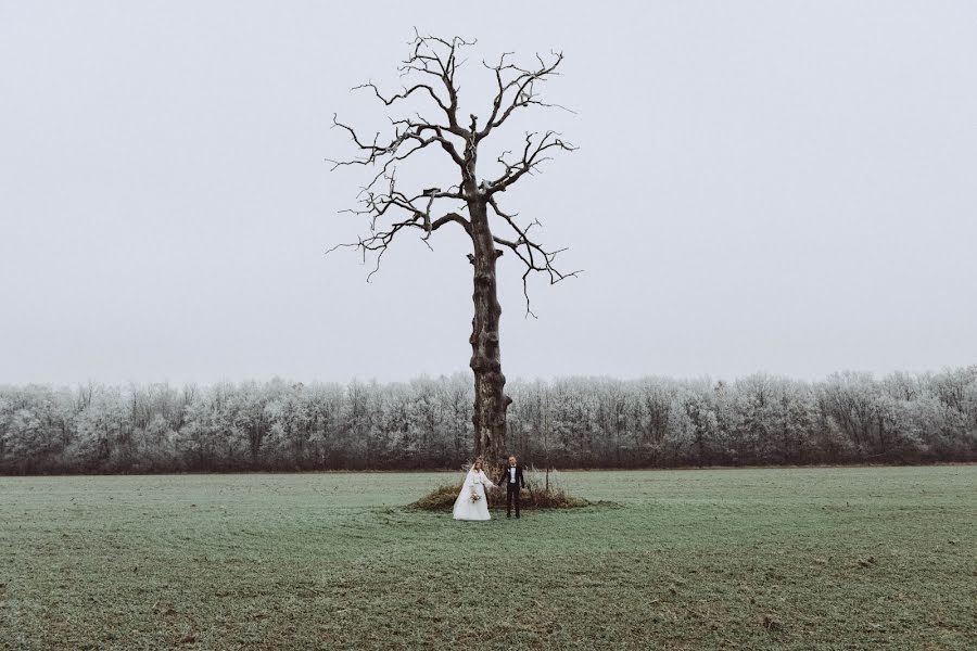 Huwelijksfotograaf Oleksandra Scherbakova-Oliynyk (oleoli). Foto van 19 april 2020