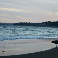 Quattro passi al tramonto di 