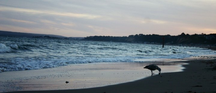 Quattro passi al tramonto di r.dicola