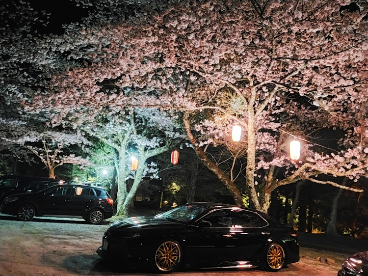 その他のカムリ・桜とコラボ🌸・イルミネーションに関するカスタム事例の投稿画像8枚目