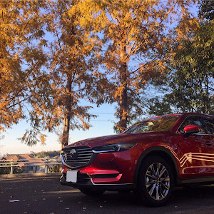 CX-8