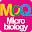 MCQ Basic Microbiology Download on Windows