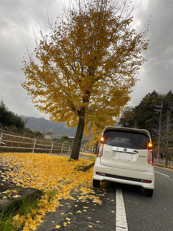 N-WGN カスタムのN-WGN カスタム・ドライブ・JH1・12月もよろしくお願いしますに関するカスタム事例の投稿画像1枚目