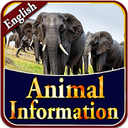 Animal information App  Icon