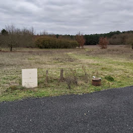 terrain à Thorée-les-Pins (72)