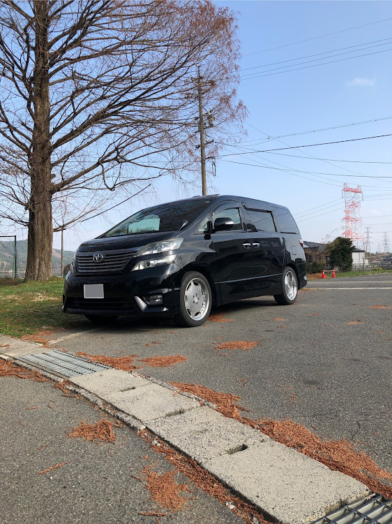 ヴェルファイアのLSP・桜と愛車・ホイール交換に関するカスタム事例の投稿画像1枚目