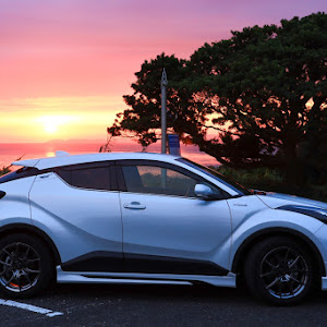 C-HR ZYX11