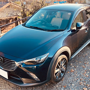 CX-3 DK5FW