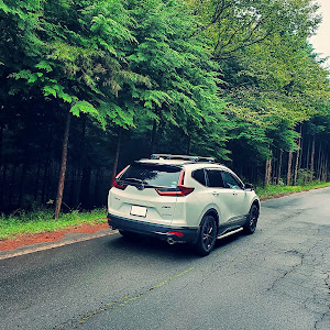 CR-V RW2