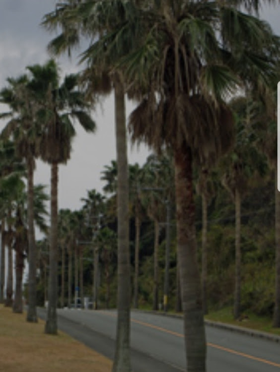 デリカD:5のプチMT・蒲フォルニア🌴🌴・デリカの輪を広げる・デリカ友の輪を広げたい🚐💨に関するカスタム事例の投稿画像6枚目