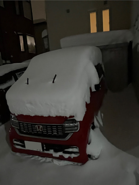 N-WGN カスタムの雪いらない・腰が、、、・毎朝5時起き・体力勝負に関するカスタム事例の投稿画像1枚目