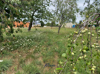 terrain à Baugé-en-Anjou (49)