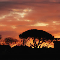 Silhouette di Lucca di 