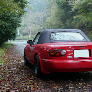 ロードスター NA8C