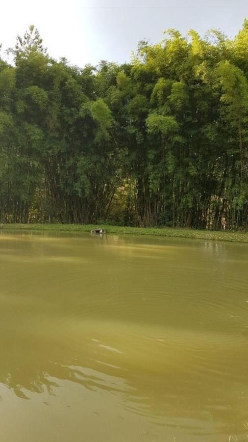 Sítio, 151000 m² - Foto 11